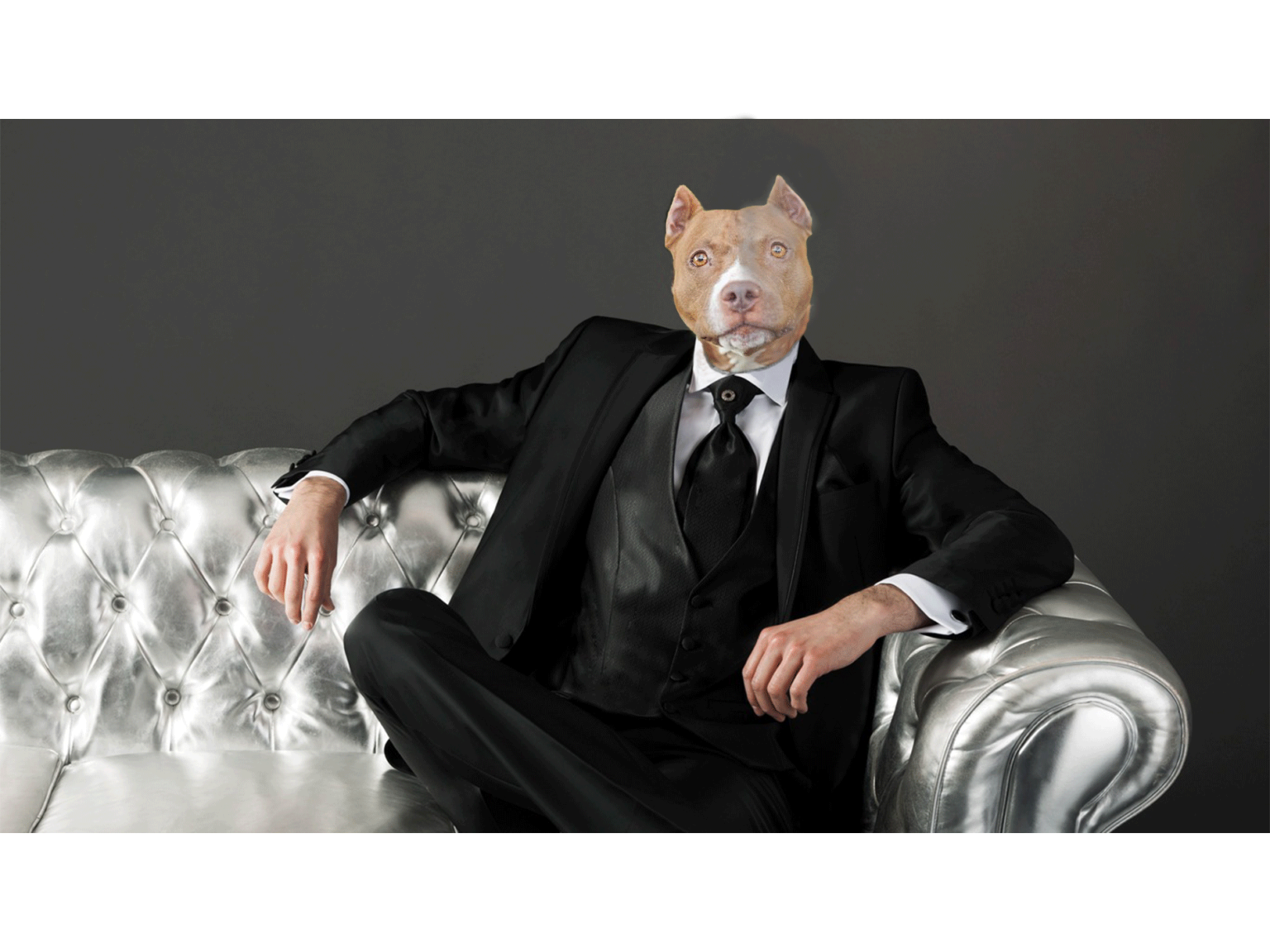 Une création étonnante mêlant des traits humains et canins, explorant une harmonie inhabituelle.