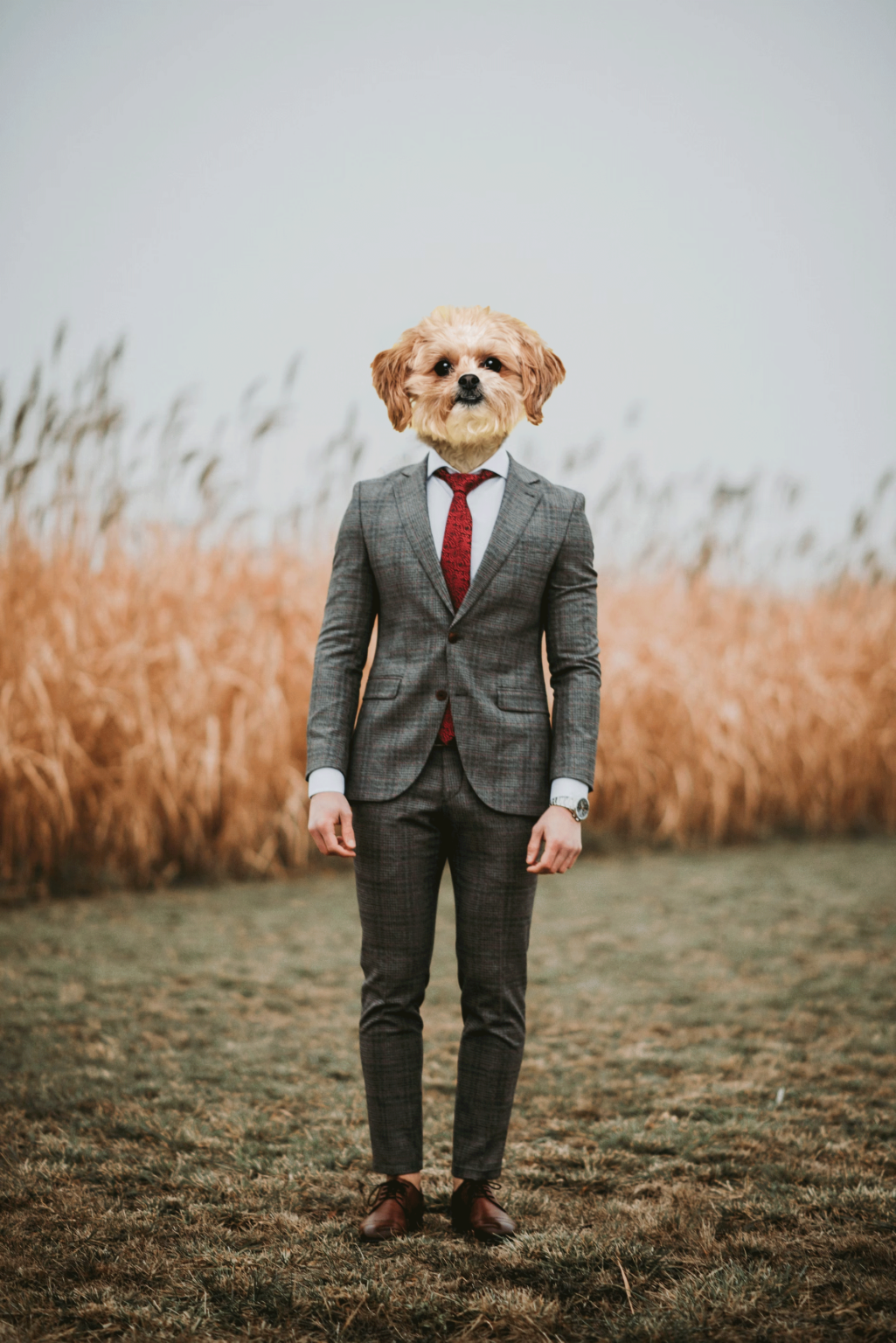 Une création étonnante mêlant des traits humains et canins, explorant une harmonie inhabituelle.